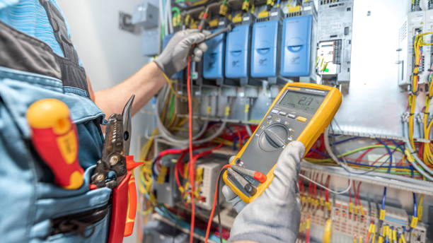 Best Electrical Repair Services  in Earlvle, IL